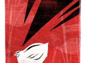 איור: מנחם הלברשטט