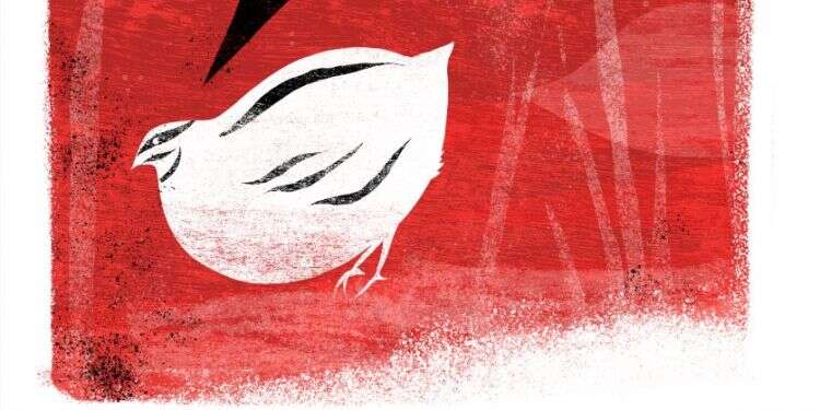 איור: מנחם הלברשטט איור: מנחם הלברשטט