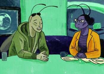 משכמם ומטה: כשהמקצוענות הפכה להמלצה בלבד