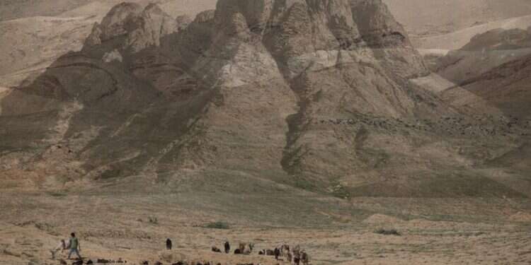 צילום: אהרון קריצר, מתוך התערוכה "דבר מן המדבר" המוצגת כעת בגלריית מקלט לאמנות בירושלים