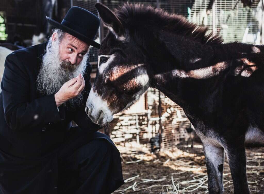 שולי רנד. צילום: אלעד שושן צילום: אלעד שושן