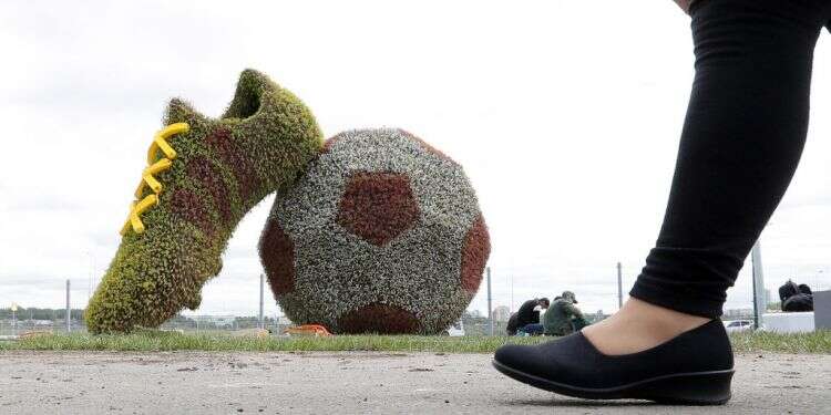 מונדיאל 2018. צילום: EPA צילום: EPA