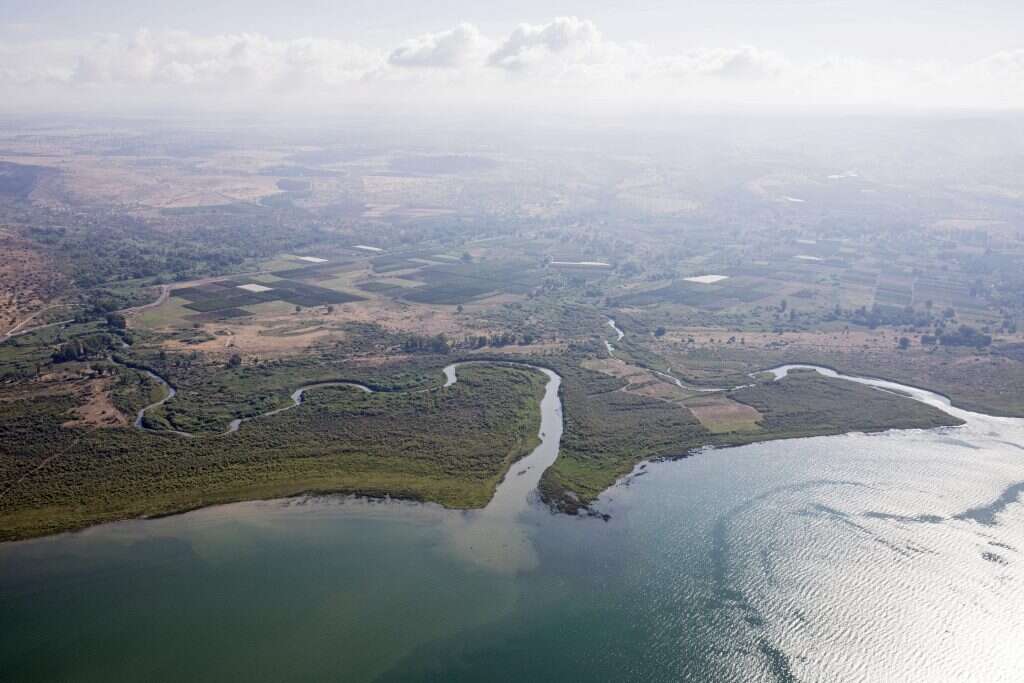 צילום: אביר סולטן, EPA