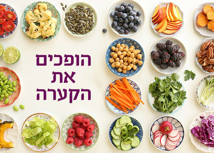 צילום: אפרת ליכטנשטט