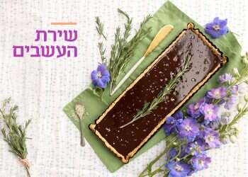 צילום: אפרת ליכטנשטט