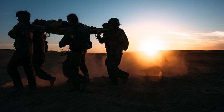 צילום: דובר צה''ל