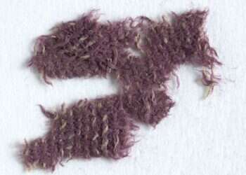 צילום: Clara Amit