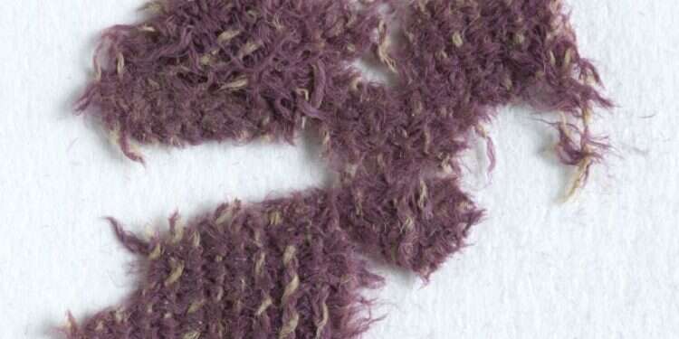 צילום: Clara Amit