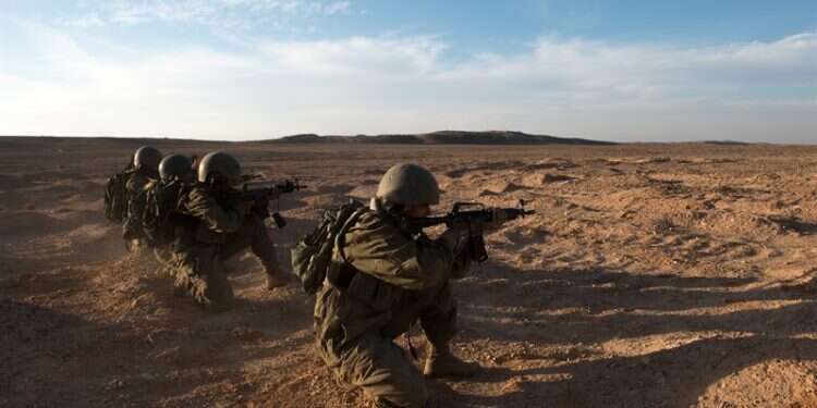 צילום: דובר צה''ל