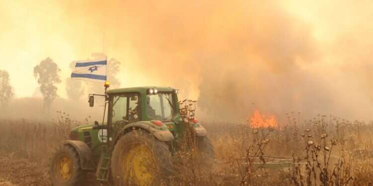 צילום: מרים צחי