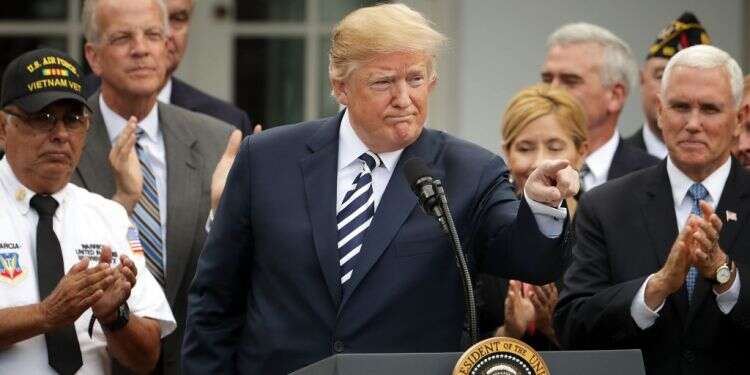 דונלד טראמפ. צילום: AFP  צילום: AFP