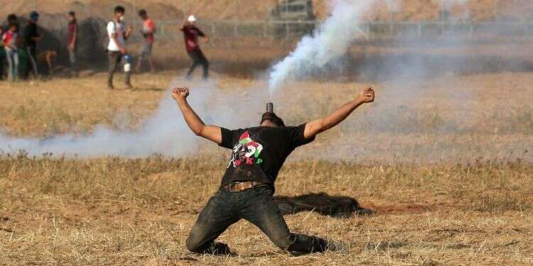 מפגין פלסטיני בעזה. צילום: AFP מפגין פלסטיני בעזה. צילום: AFP