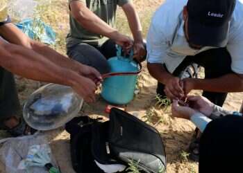 "יש לתת לצה"ל הנחיה לירות כדי לפצוע ולא להרוג"