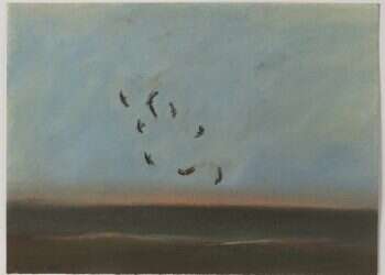 צילום: אברהם חי