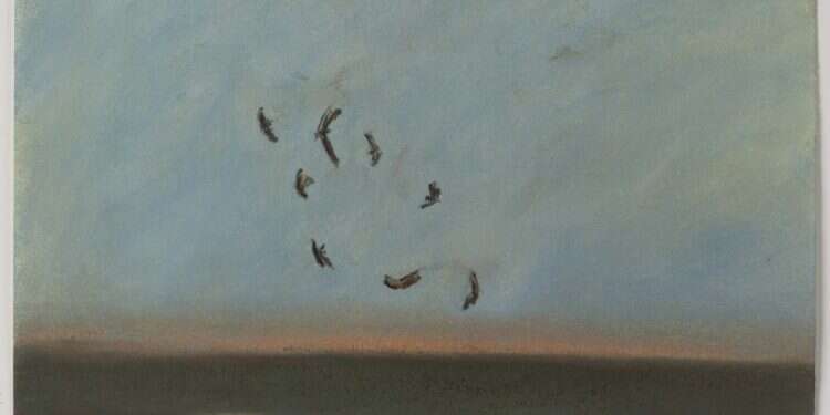 צילום: אברהם חי