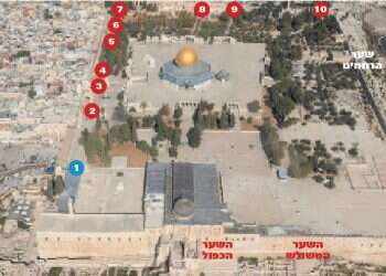 צילום: מרים צחי