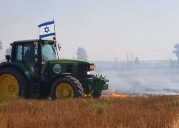 צילום: שירית אביטן כהן