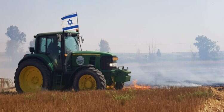צילום: שירית אביטן כהן
