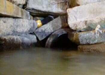 צילום: דובר צה''ל