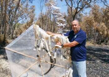 צילום: לירון מולדבן