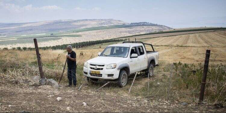 צילום: מאור קינסבורסקי