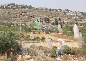 צילום: מרים צחי