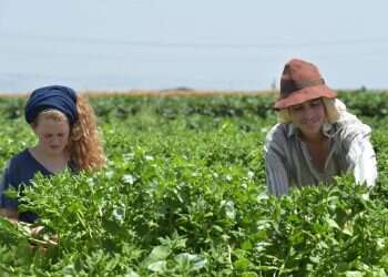 צילום: גיל אליהו ג'יני