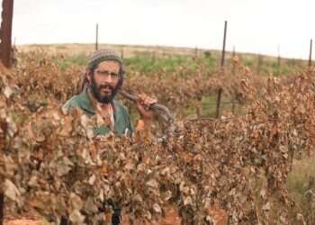 צילום: מרים צחי