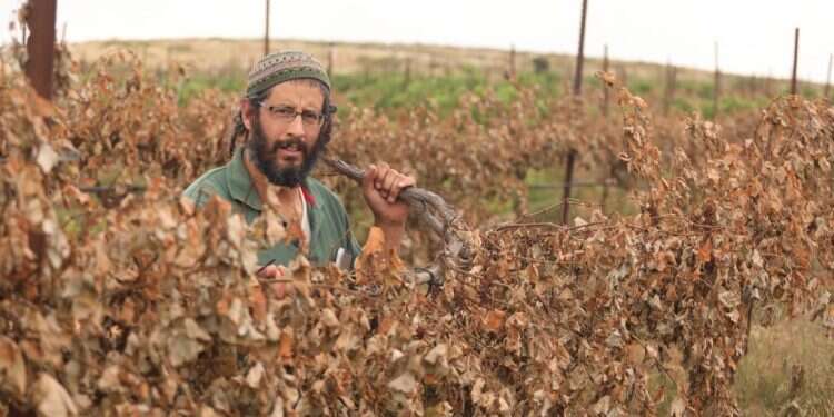 איתמר וייס. צילום: מרים צחי צילום: מרים צחי