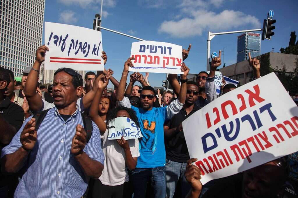 צילום: אבישג שאר-ישוב