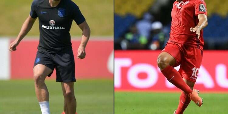 ווהאבי חזרי מתוניסיה והארי קיין מאנגליה. צילום: AFP צילום: AFP