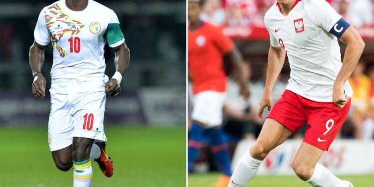 רוברט לבנדובסקי מפולין וסאדיו מאנה מסנגל. צילום: AFP צילום: AFP