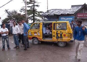 צילום: אופיר דוד