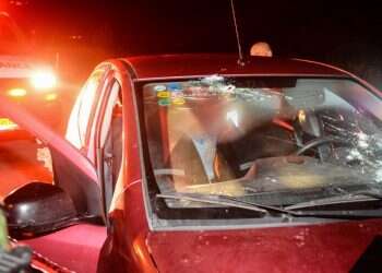 צילום: מאור לוי, TPS