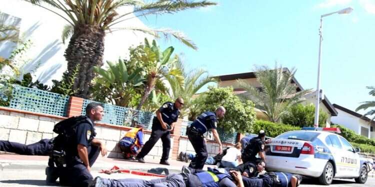 צילום: מרים צחי