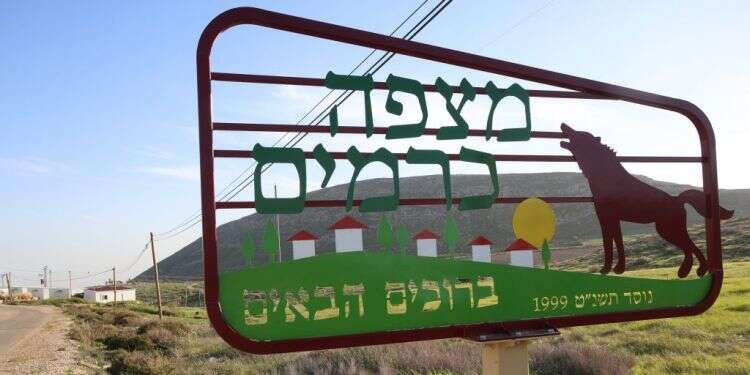 צילום: מרים צחי