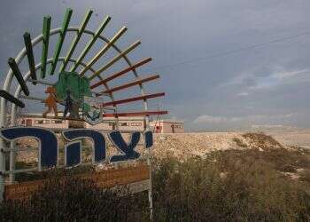 צילום: מרים צחי