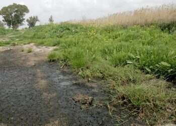 נחל נעמן. צילום: מרים צחי