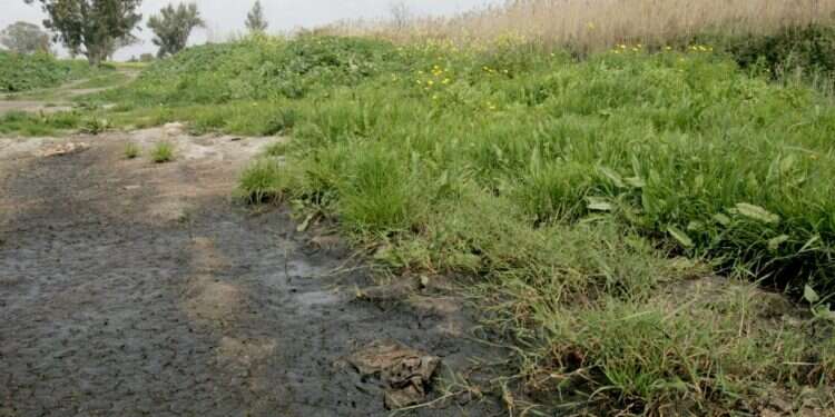 נחל נעמן. צילום: מרים צחי נחל נעמן. צילום: מרים צחי