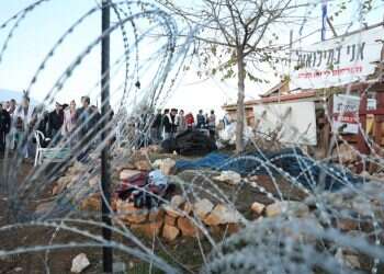 צילום: מרים צחי