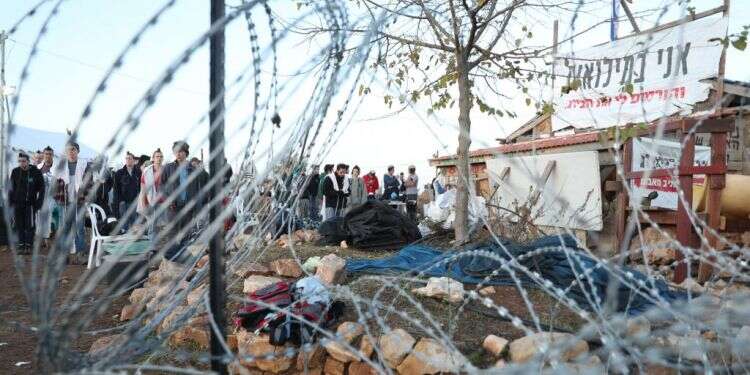 צילום: מרים צחי