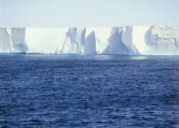 צילום: שאטרסטוק