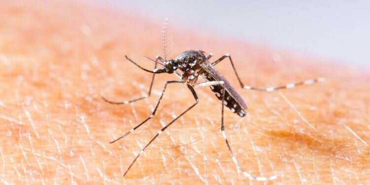 צילום: שאטרסטוק