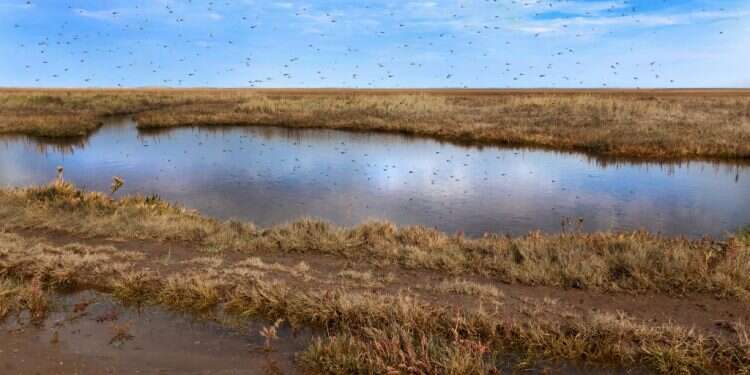 צילום: שאטרסטוק צילום: שאטרסטוק