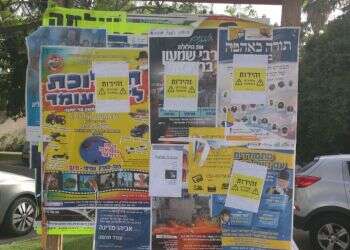 צילום: צלמס