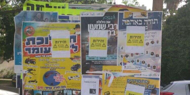 צילום: צלמס