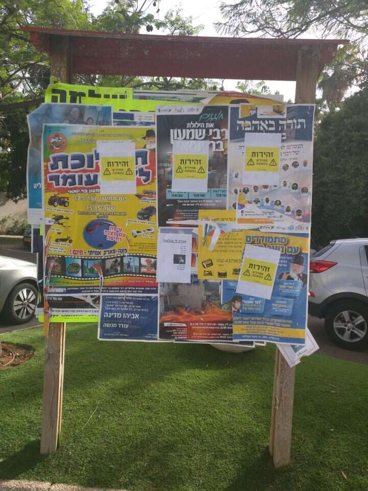 צילום: צלמס