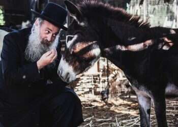 צילום: אלעד שושן