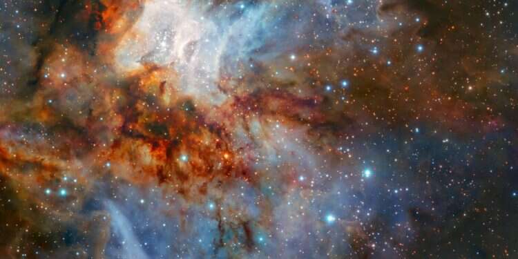 כוכבים. צילום: EPA צילום: EPA