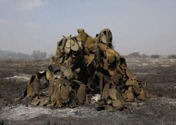 מחמאה הבאה מעבירה: על התנתקות, דמוקרטיזציה ואש בדרום